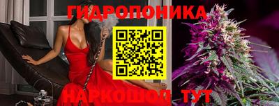 прущие грибы Моздок