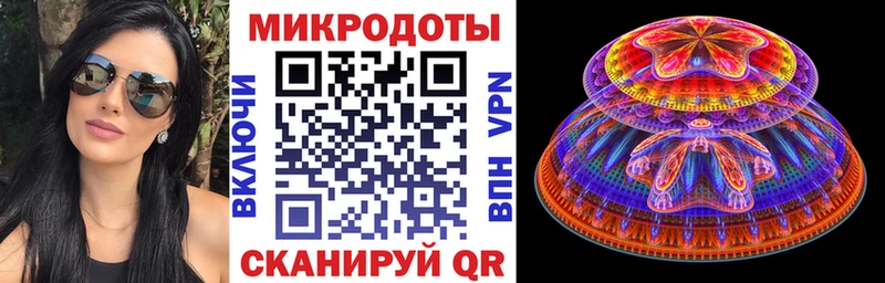 Галлюциногенные грибы Psilocybine cubensis  Чебоксары 